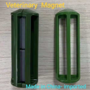 Ruminal Magnets